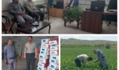 از مزارع گندم و انبار توزیع بذر پنبه شهرستان مانه