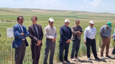 برگزاری روز مزرعه و انتقال یافته ها