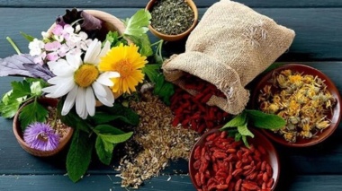 شناسایی بیش از ۴۰۰ گونه گیاه دارویی