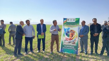 برگزاری نهمین کاروان ترویج بهره وری الگوی کشت ملی محصولات زراعی با رویکرد تغییر اقلیم