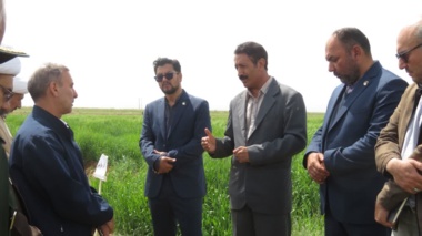 رسیدن به خودکفایی محصولات کشاورزی و پایداری تولید  در گرو  تولید و تامین و استفاده از بذر اصلاح شده
