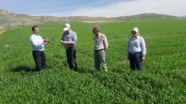 بازدید از ایستگاههای تحقیقات سیساب و شیروان