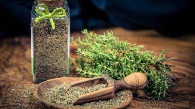 اهلی سازی چهار گیاه دارویی در استان خراسان شمالی