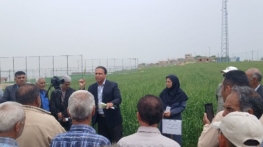 ‌برگزاری روز مزرعه در مزرعه الگویی PVS و PNT