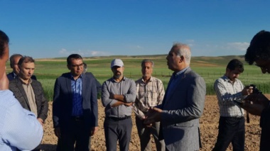 ایستگاه تحقیقات کشاورزی دیم شیروان؛ پیشگام ۳۰ ساله در تولید دانش و معرفی ارقام مقاوم