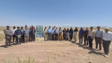 در پایگاه نوآوری طرح پایداری تولید در دیمزارها در روستای سیاهدشت شهرستان فاروج