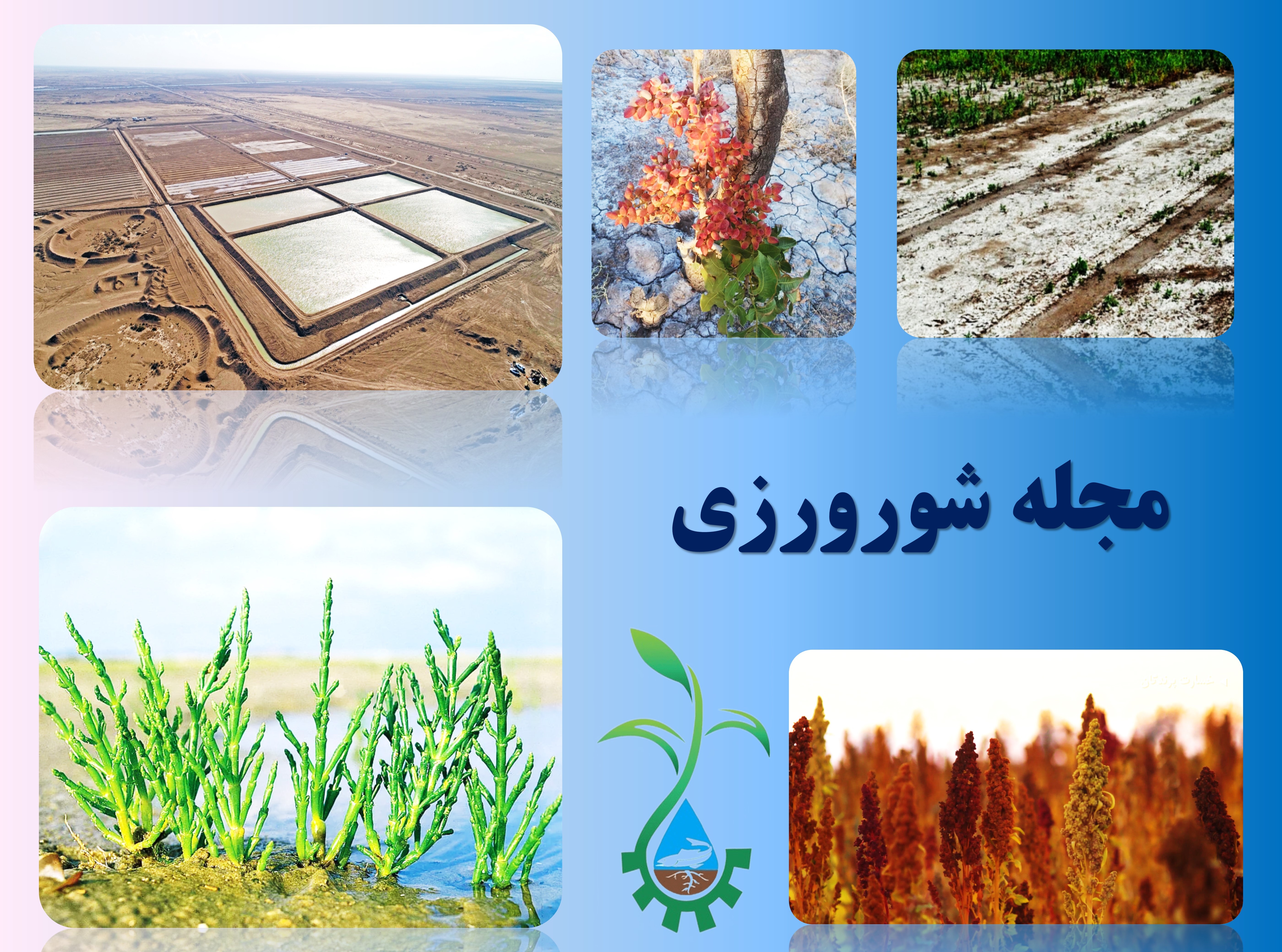 مجله علمی شورورزی