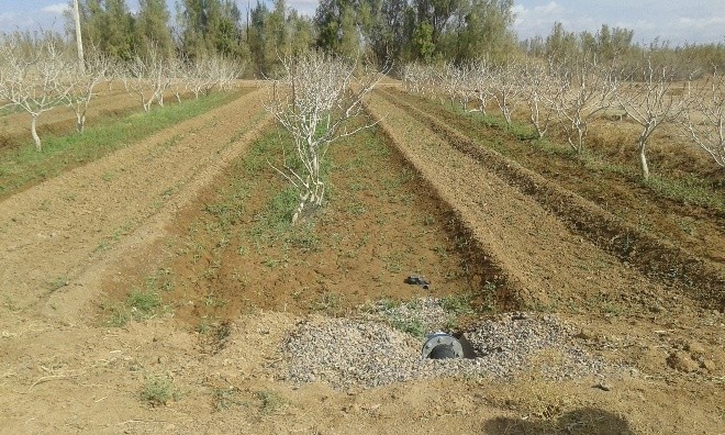 ایستگاه چاه افضل