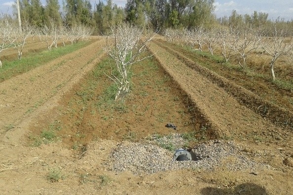 ایستگاه چاه افضل