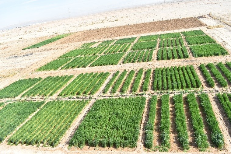 ایستگاه حسین آباد