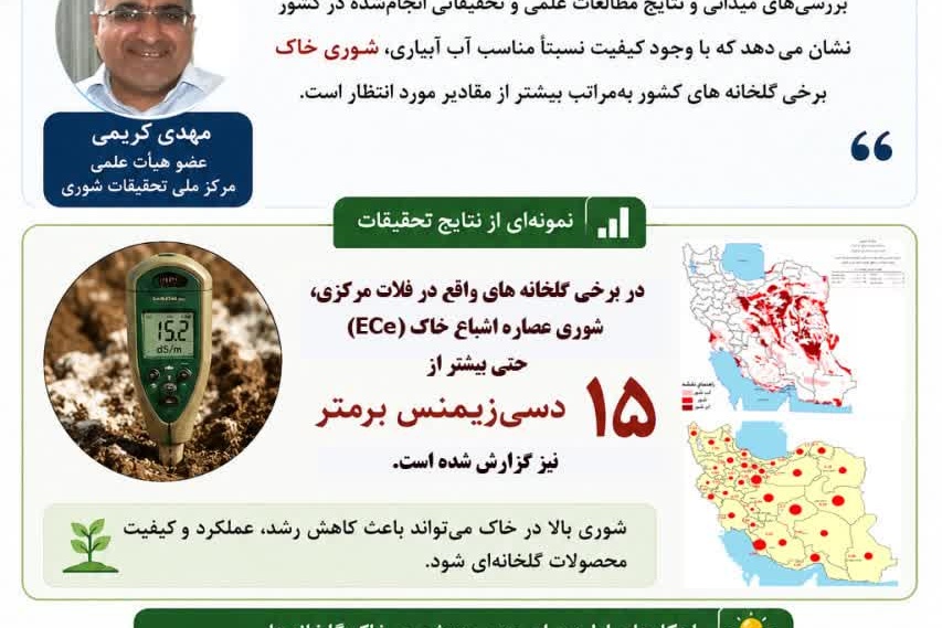 اینفوگرافی
