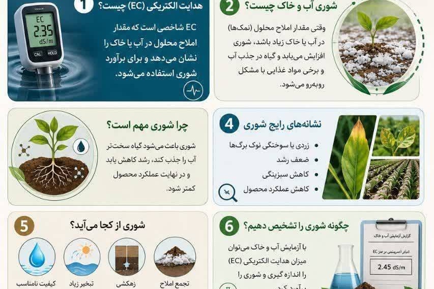 اینفوگرافی