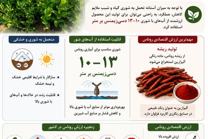 اینفوگرافی