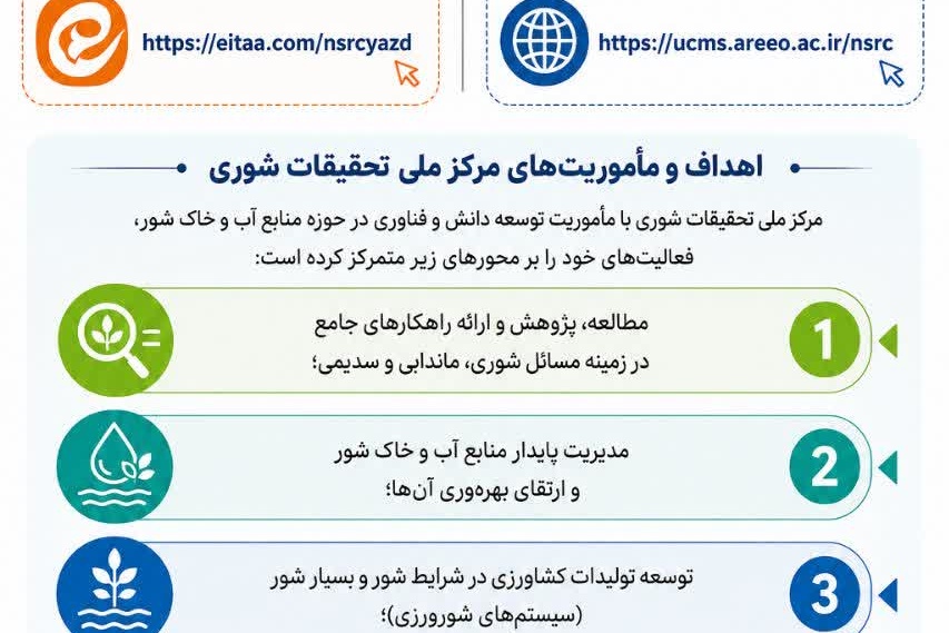 اینفوگرافی