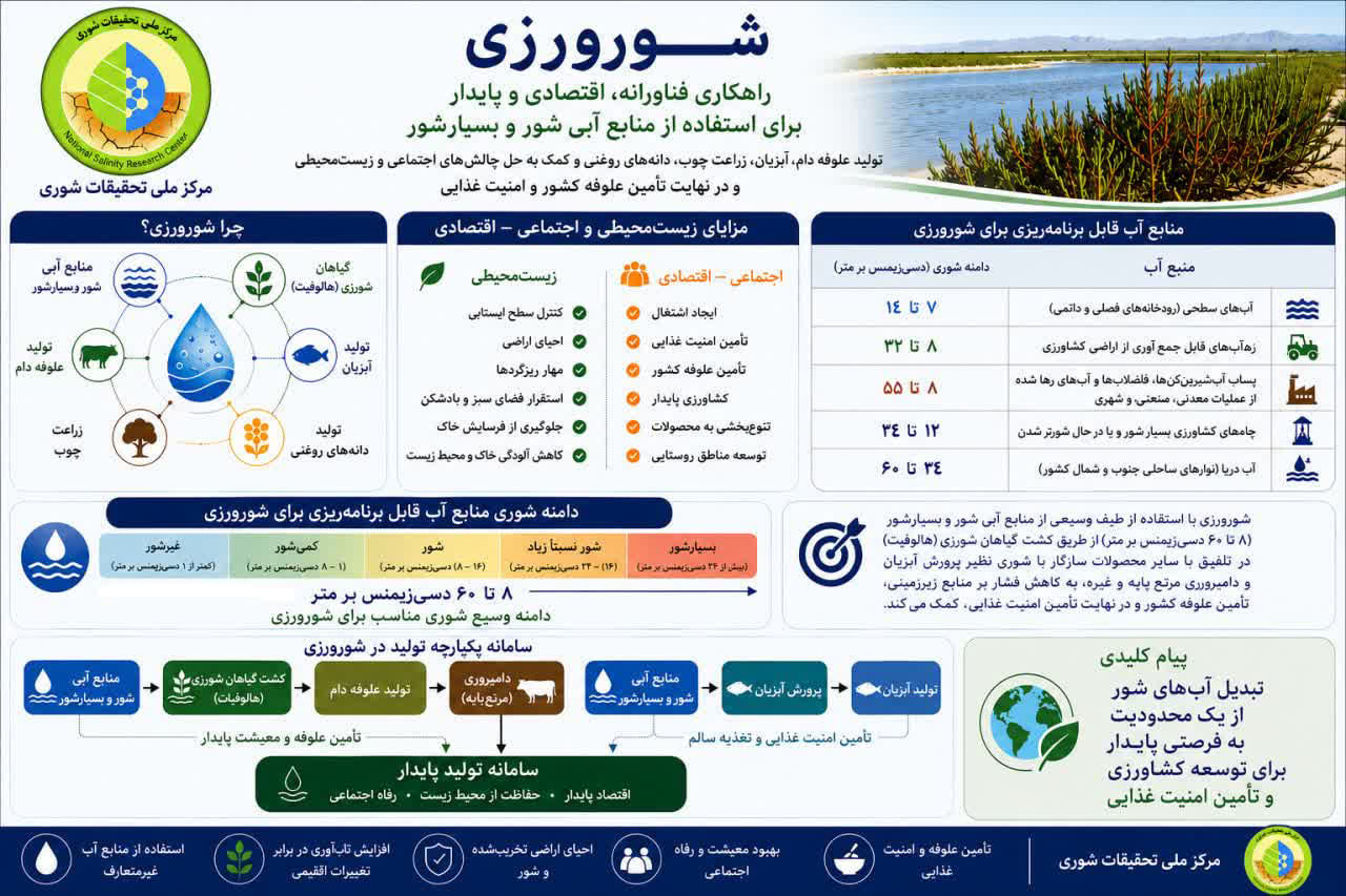 اینفوگرافی
