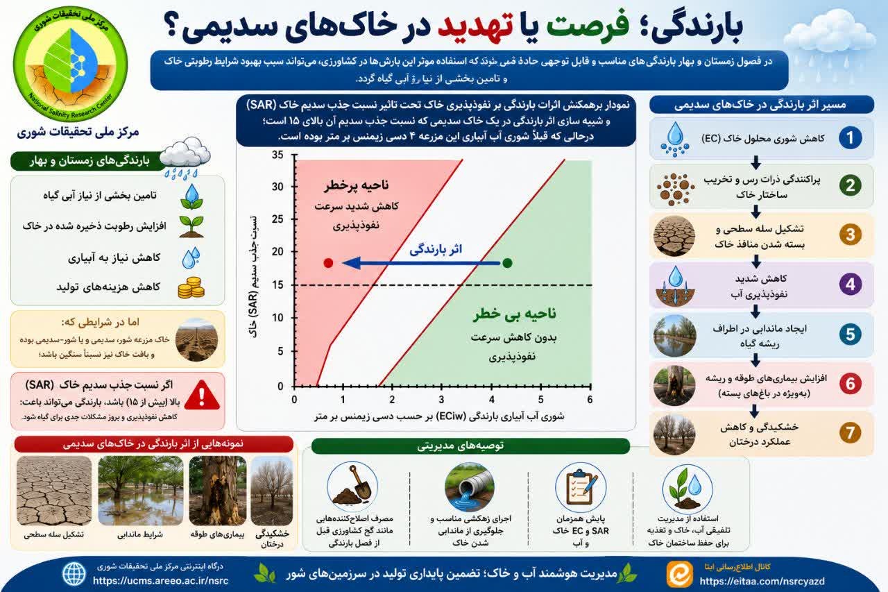 اینفوگرافی