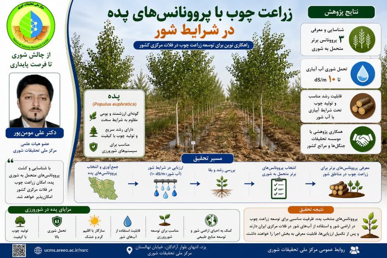 اینفوگرافی