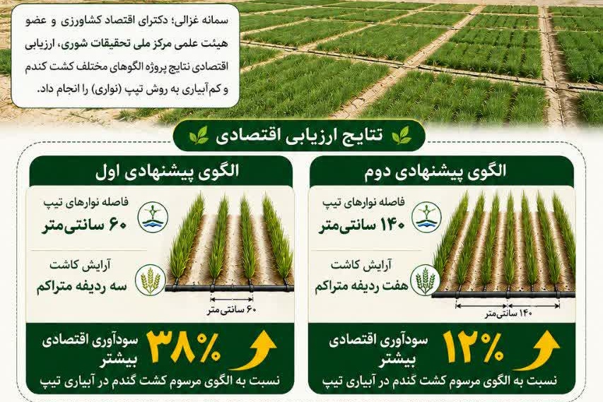 اینفوگرافی