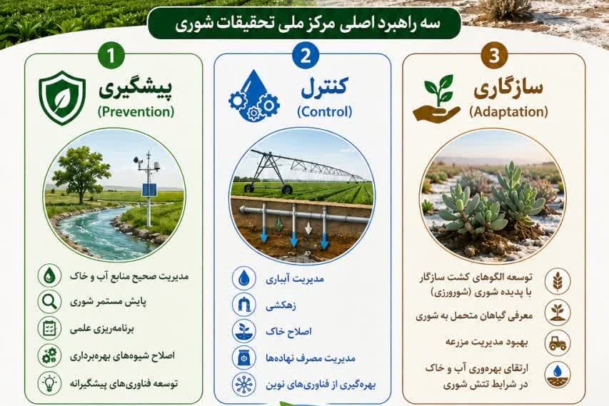 اینفوگرافی