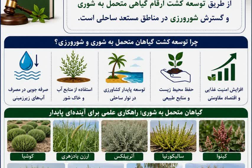 اینفوگرافی