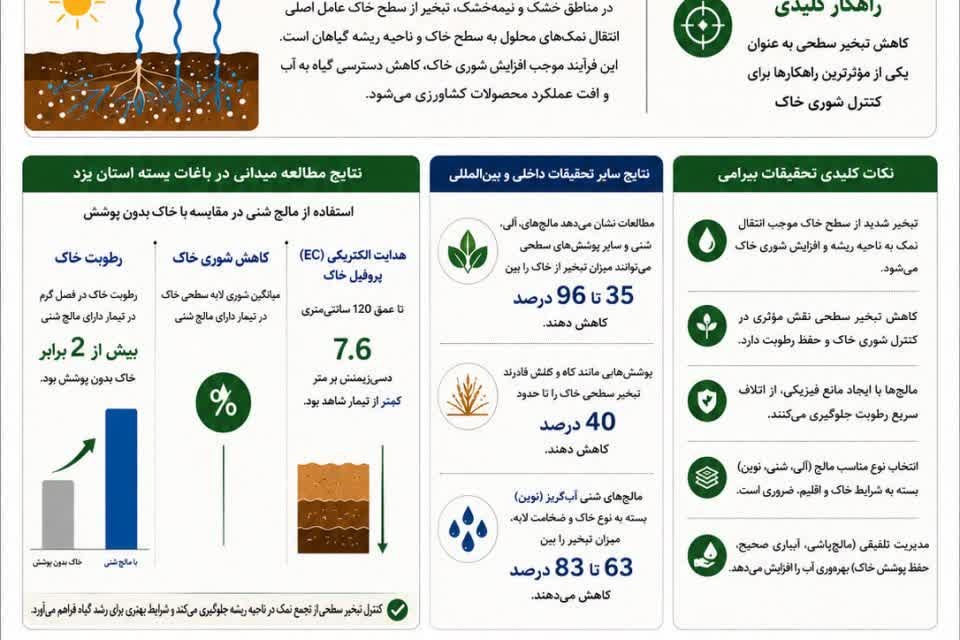 اینفوگرافی