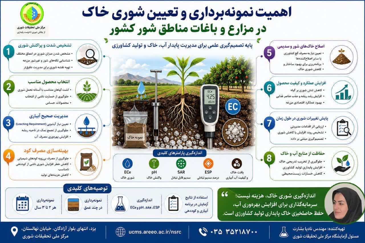 اینفوگرافی