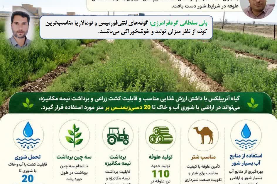 اینفوگرافی
