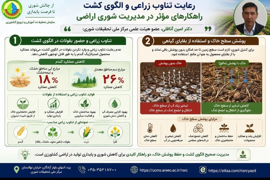 اینفوگرافی
