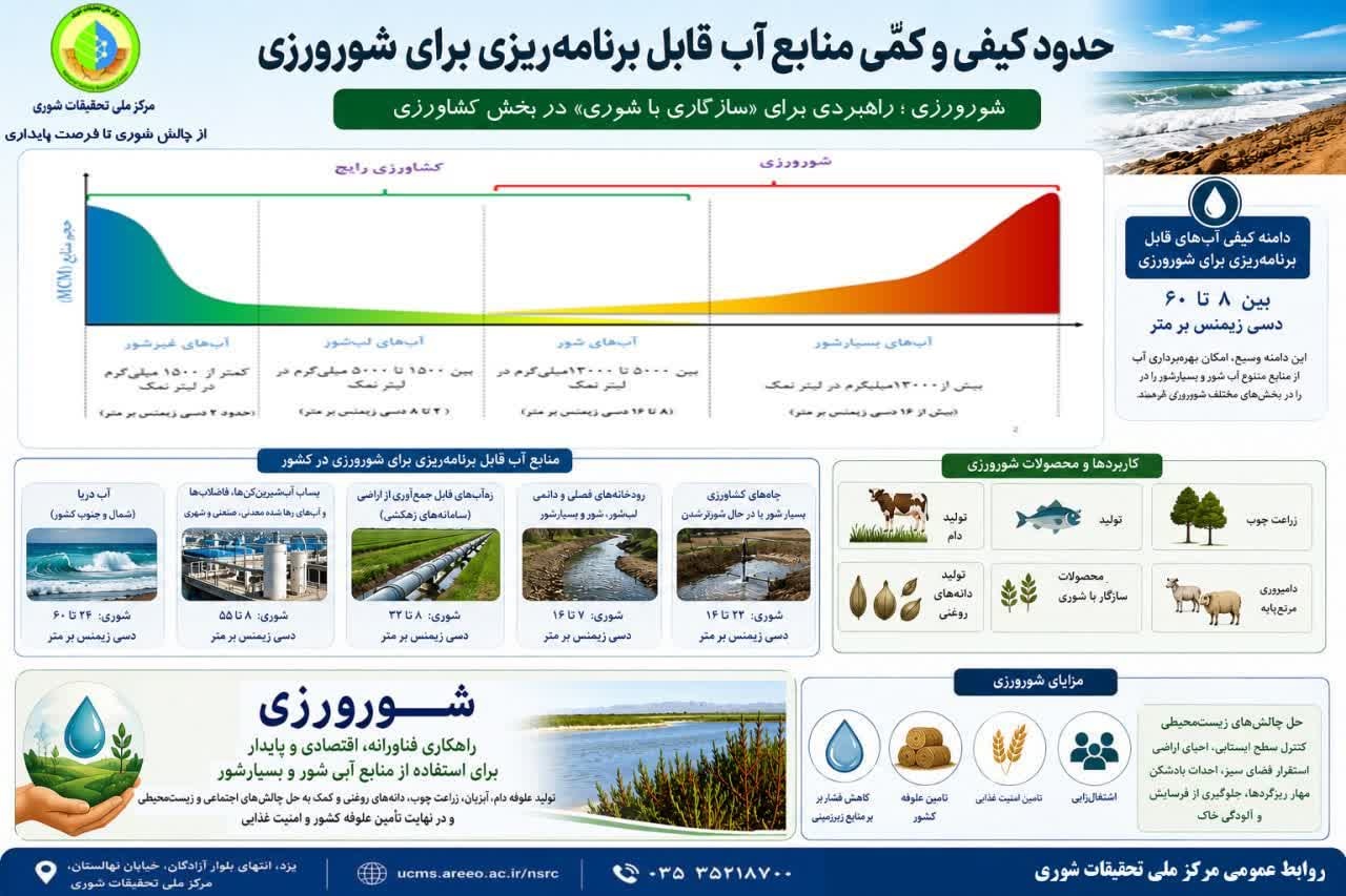 اینفوگرافی