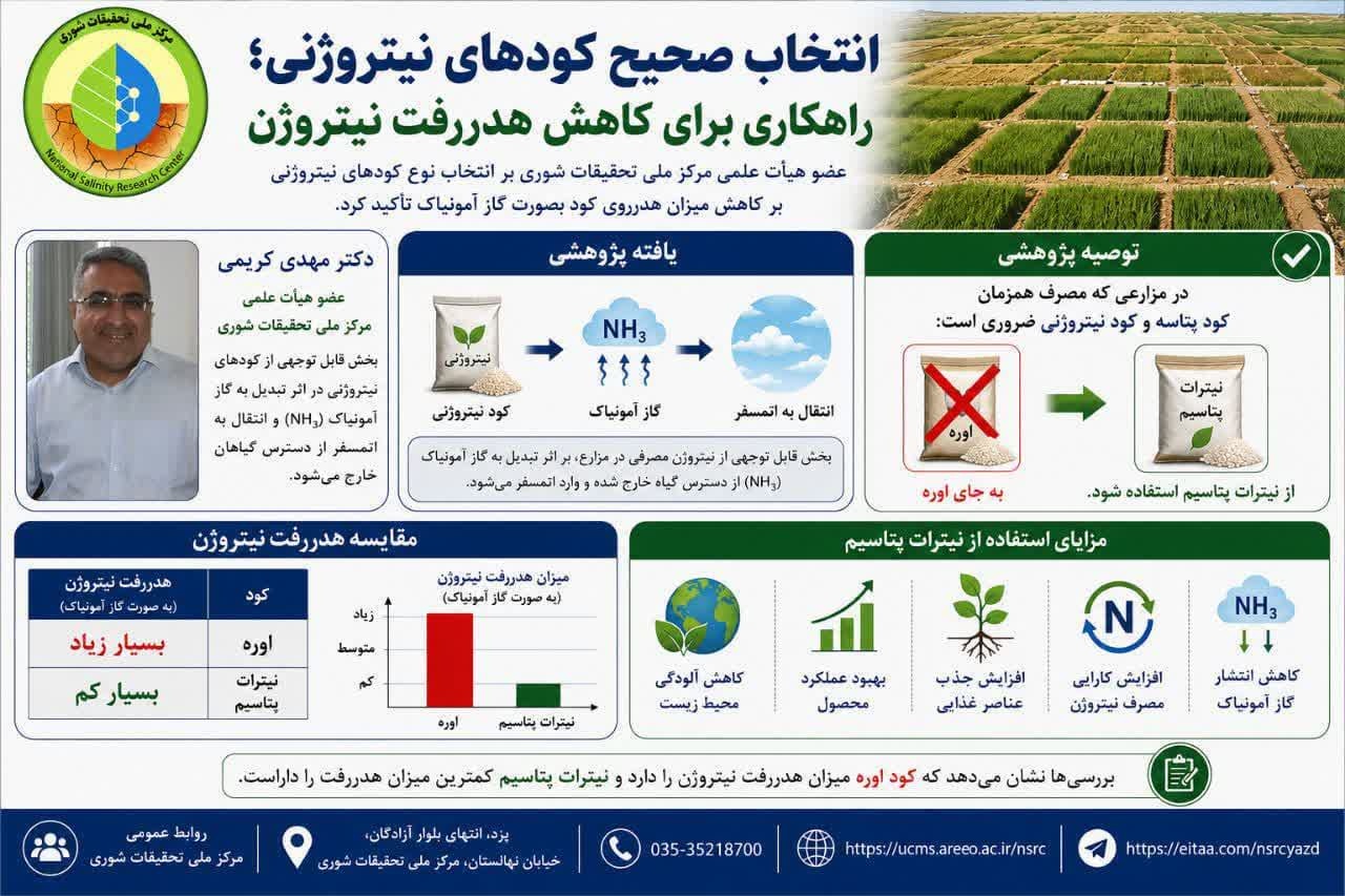 اینفوگرافی