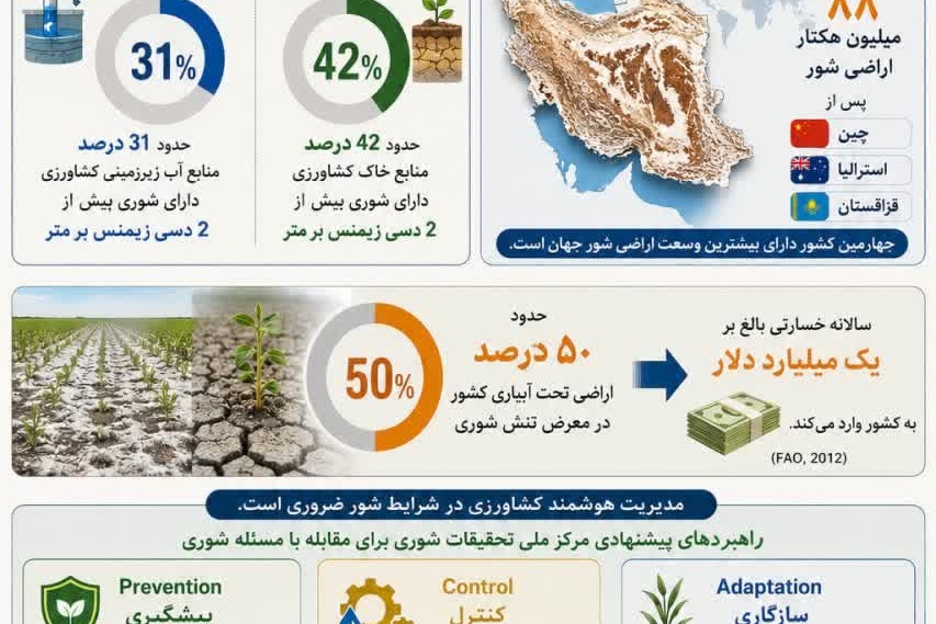 اینفوگرافی