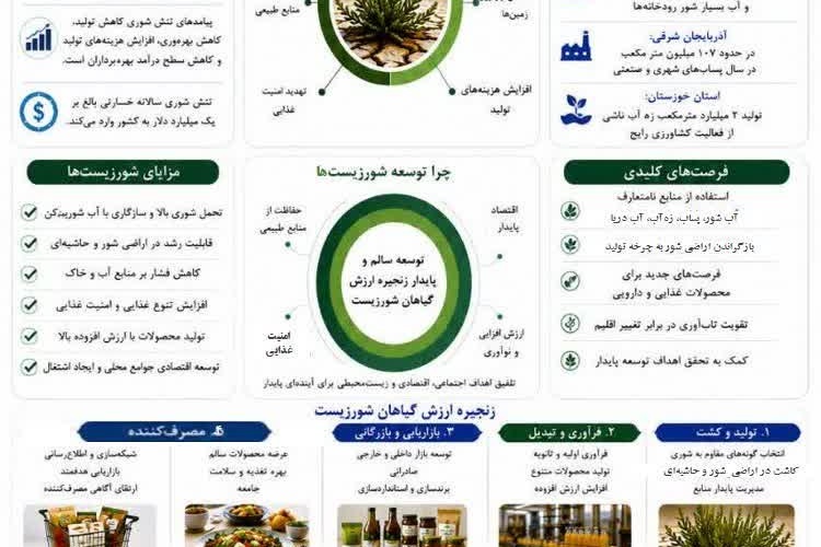 اینفوگرافی