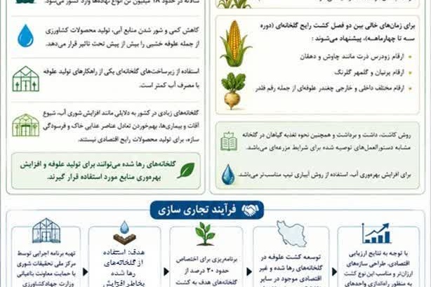 تولید علوفه در گلخانه های رها شده، عملکرد بیشتر و افزایش بهره وری