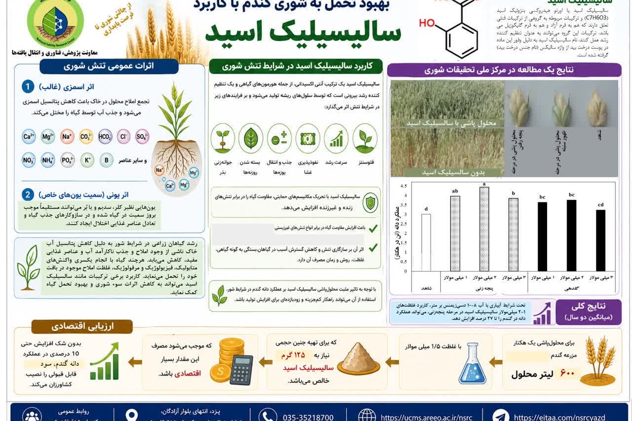 بهبود تحمل به شوری گندم با کاربرد سالیسیلیک اسید