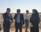 روز انتقال یافته‌ها؛ کشاورزی در شرایط شور
