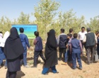 روز انتقال یافته‌ها؛ کشاورزی در شرایط شور