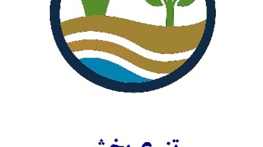 تست