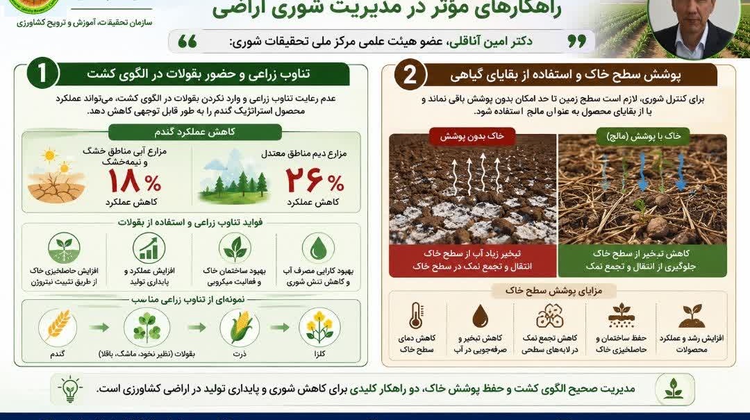 تناوب زراعی و الگوی کشت
