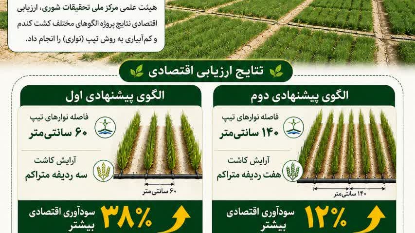 سودآوری اقتصادی کم آبیاری
