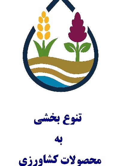 تست