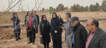 مورخ ۲۱ بهمن‌ماه ۱۴۰۴ بازدید مشترک مرکز ملی تحقیقات شوری و مرکز تحقیقات کشاورزی و منابع طبیعی استان سمنان از ایستگاه تحقیقات علوم دامی و منابع طبیعی گرمسار انجام شد.