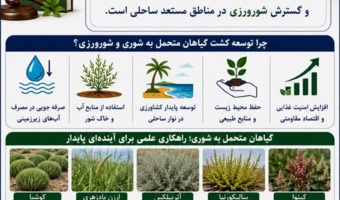 ورود موضوع شورورزی به اسناد بالادستی کشور