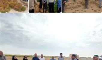 گزارش تصویری