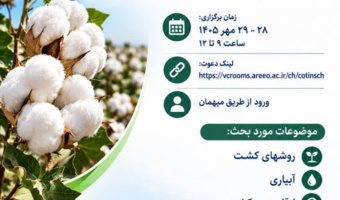 برگزاری نشست تخصصی و کارگاه آموزشی کاشت پنبه در شرایط شور