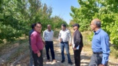 ارتقای دانش فنی زرد آلو کاران ابرکوهی