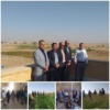 رئیس موسسه تحقیقات اصلاح و تهیه نهال و بذر: زیرساختهای پژوهشی مرکز ملی تحقیقات شوری برای اجرای فعالیتهای تحقیقاتی مشترک مناسب است.