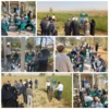 ضرورت تغییر الگوی کشت و استفاده از گیاهان مفید و اقتصادی متناسب با شرایط اقلیمی