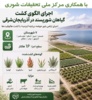 همکاری مرکز ملی تحقیقات شوری در توسعه کشت گیاهان شورزیست در شهرستان‌های اطراف دریاچه ارومیه در استان آذربایجان‌شرقی