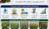ورود موضوع شورورزی به اسناد بالادستی کشور