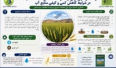 توسعه ارقام زودرس راهکار حفظ سطح زیر کشت گندم در مناطق با محدودیت کمی و کیفی منابع آب